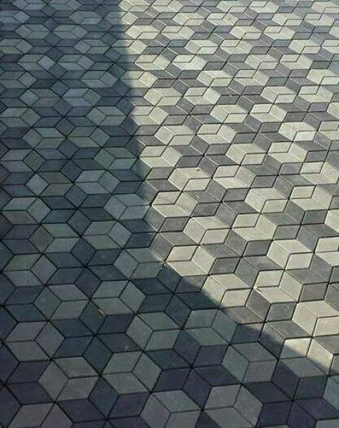 images - 2025-02-05T225622.919