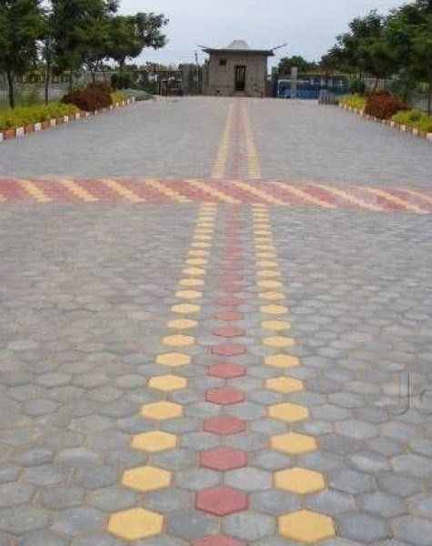 images - 2025-03-11T181116.339