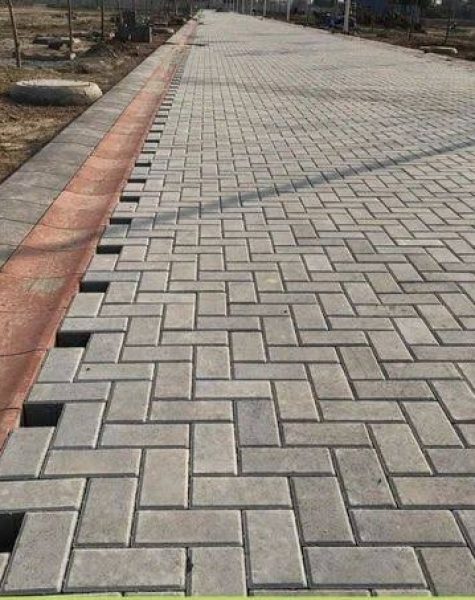 images - 2025-03-11T181312.872